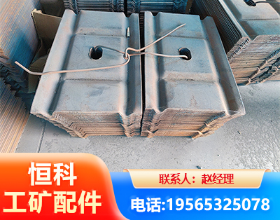 益阳W钢带